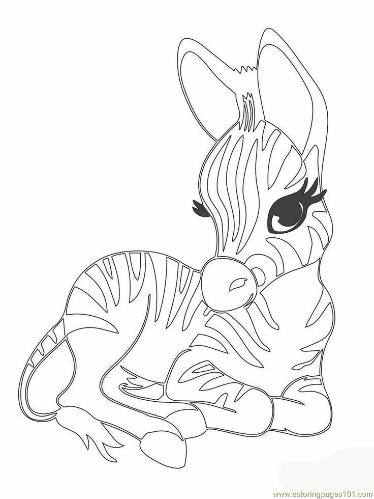 60 Printable Animal Free Coloring Pages 21