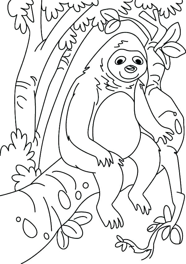 60 Printable Cute Sloth Coloring Pages 59