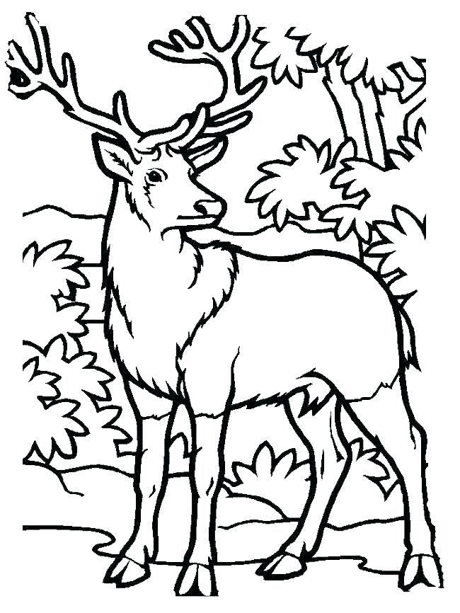 60 Printable Hunting Coloring Sheets 3