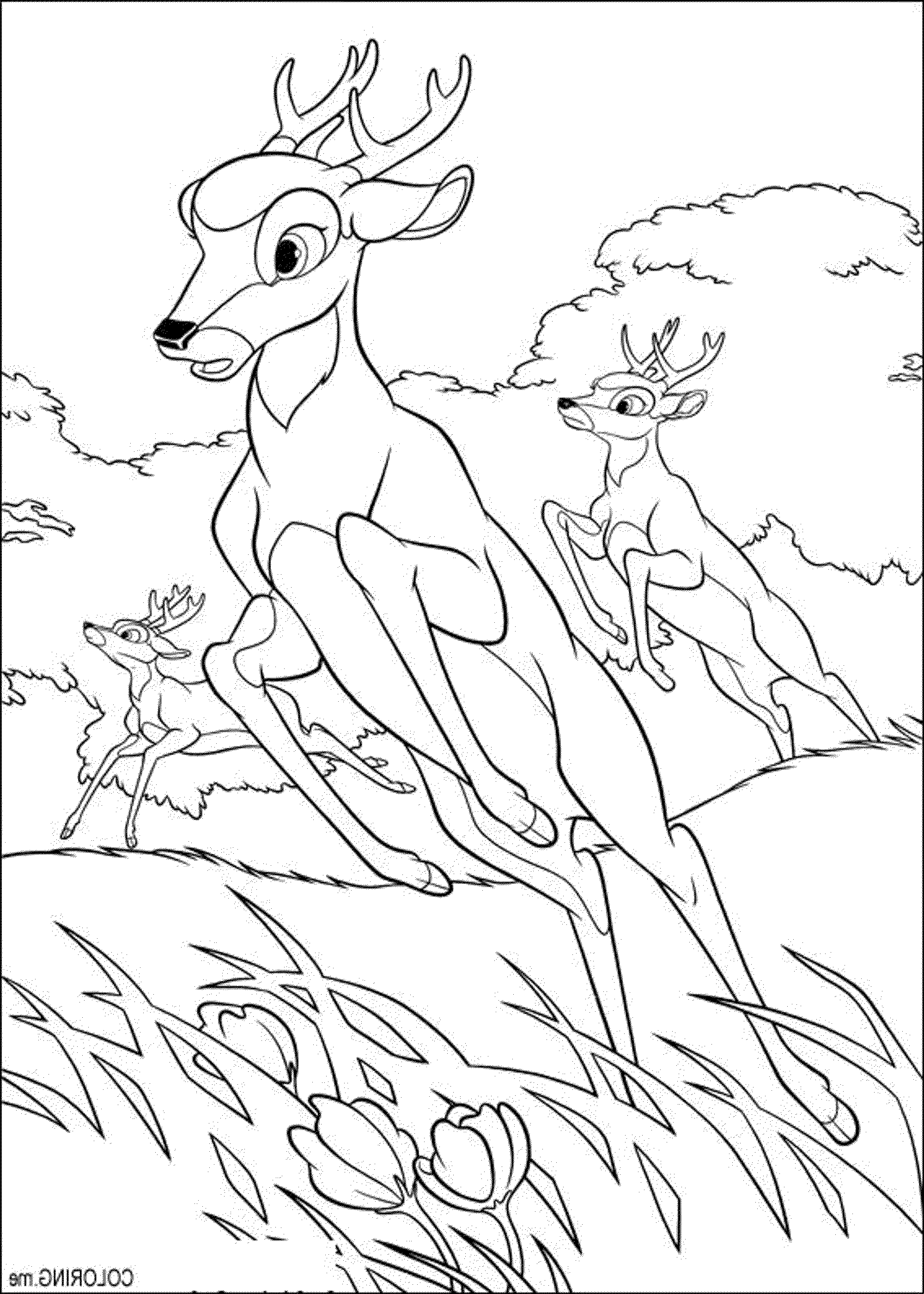 60 Printable Hunting Coloring Sheets 44