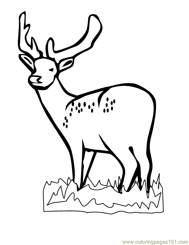 60 Printable Hunting Coloring Sheets 46