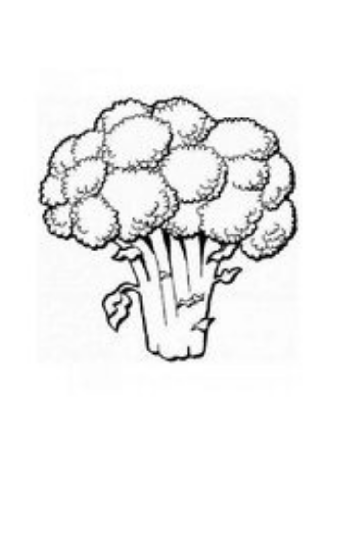 Get 85 Coloring Pages Of Broccoli Ideas 36