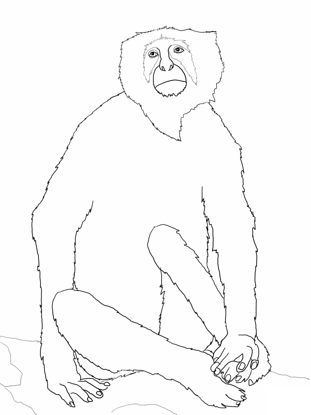 Get 85 Coloring Pages Of Monkeys Ideas 43