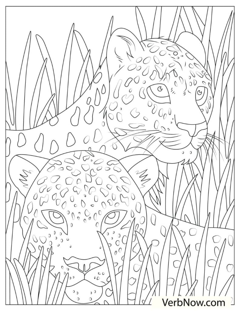 Get 85 Hard Coloring Pages Of Animals Ideas 39