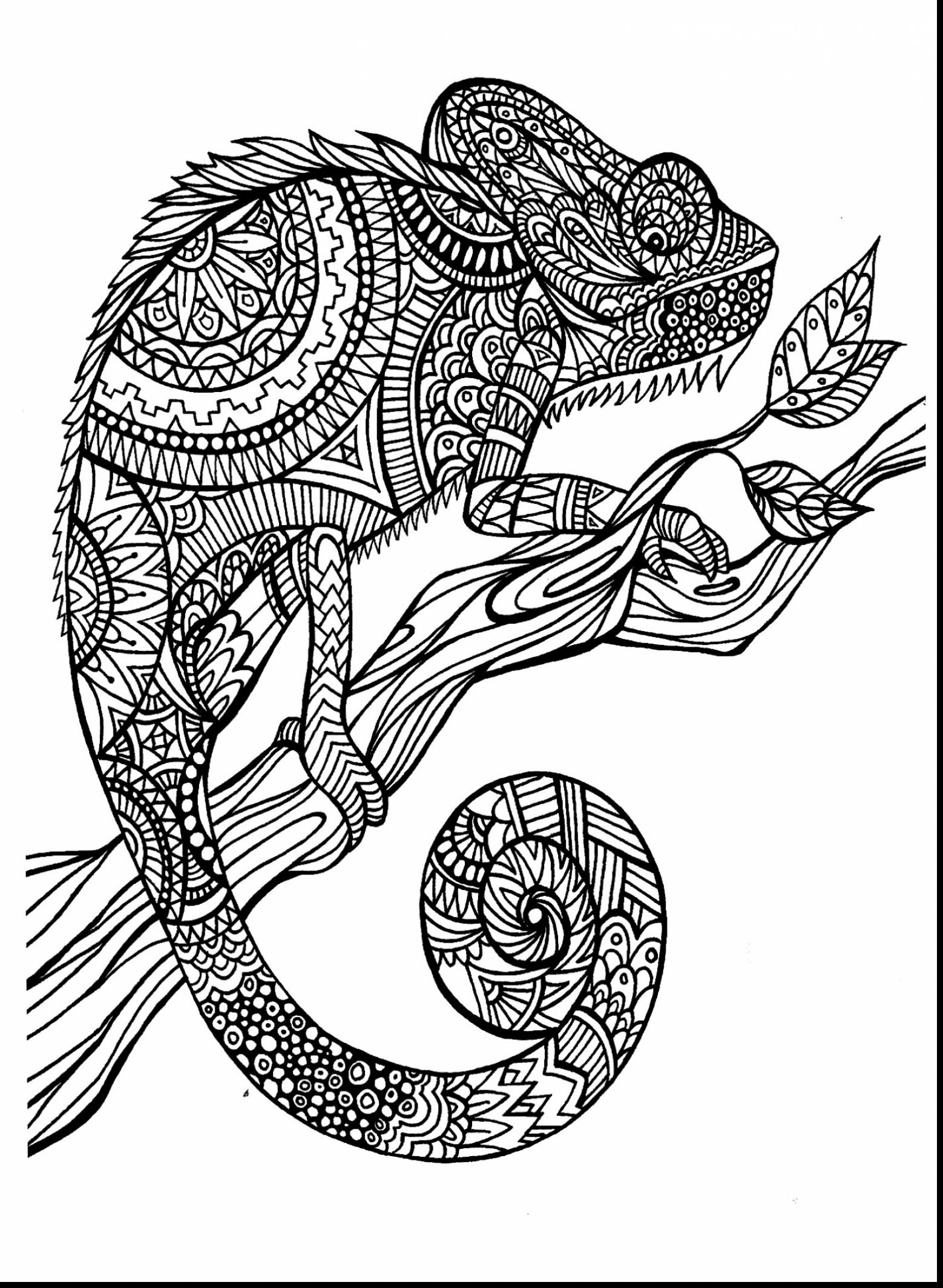 Get 85 Hard Coloring Pages Of Animals Ideas 7