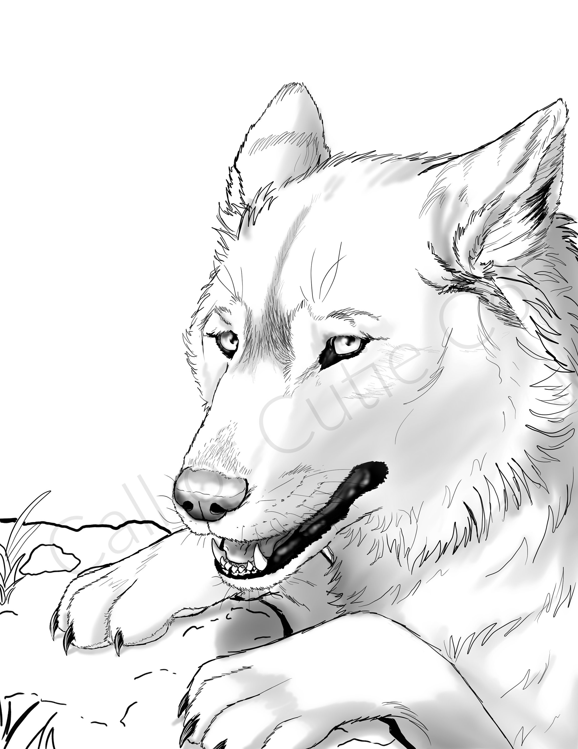 Get 85 Wolf Coloring Book Ideas 10