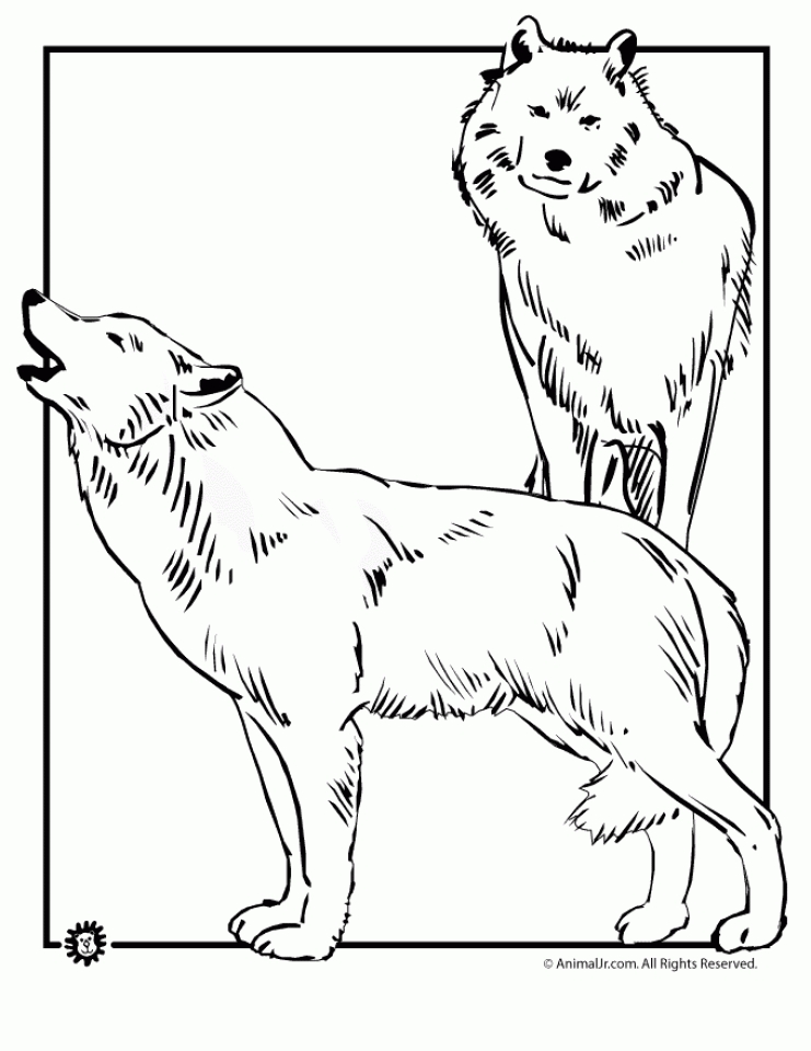 Get 85 Wolf Coloring Book Ideas 63